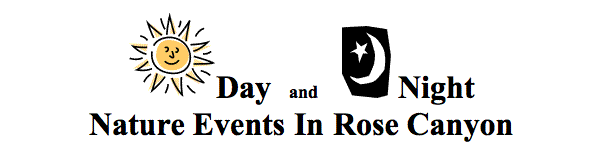 events