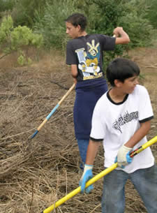 rake