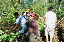volunteers