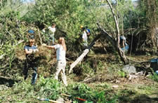volunteers