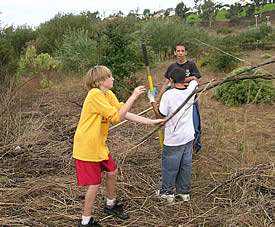 sticks