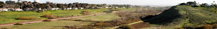 Friends of Rose Canyon
